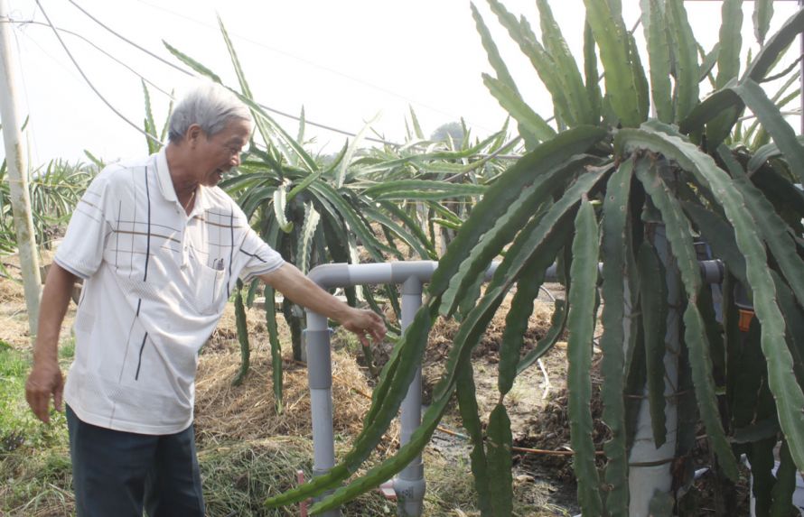 Biến tần cho máy bơm nước tưới thanh long