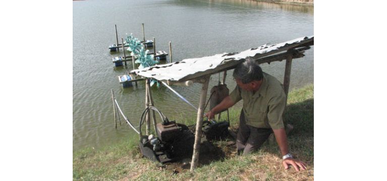 Lắp đặt biến tần cho quạt oxy nuôi tôm tại Bình Phước